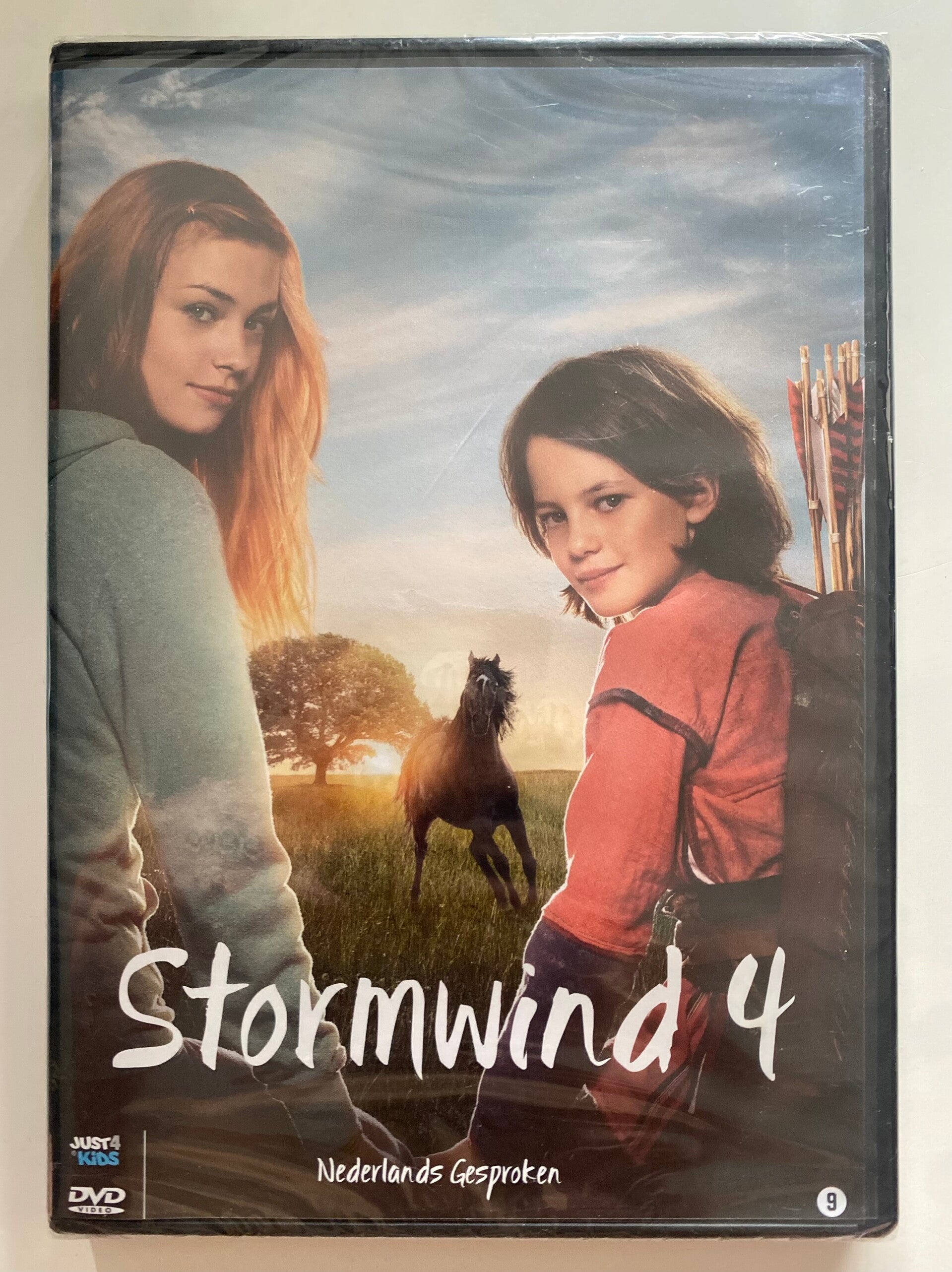 STORMWIND 4 (IN SEAL) (DVD)