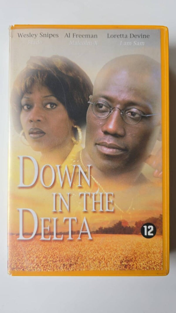 DOWN IN THE DELTA (EX RENTAL) (VHS)