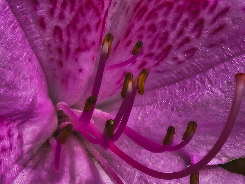 20260407_174029-standard.jpg
