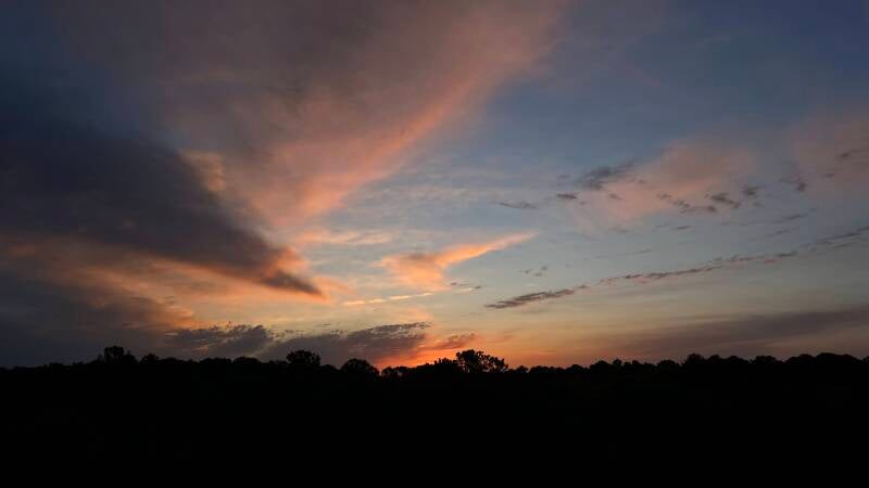 img_7756-standard.jpg