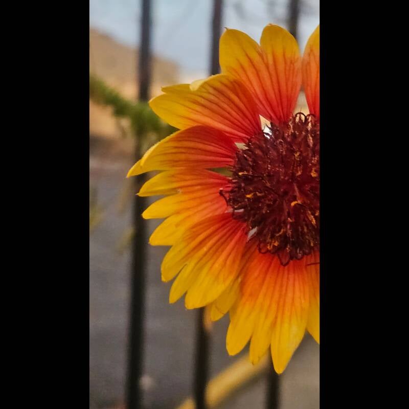 instasize_231026190208-standard.jpg