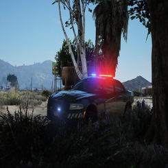 image7-standard-adoc2l.png
