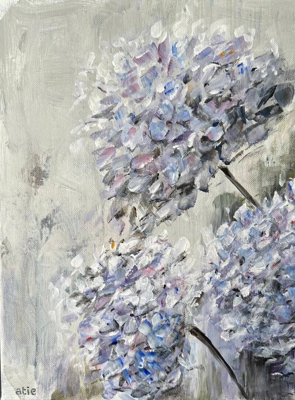 Hortensia 30x40 cm