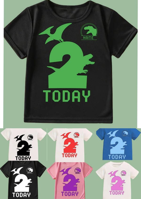 Dinosaur themed birthday t-shirt. Personalise with name and age. Available in a variety of colours