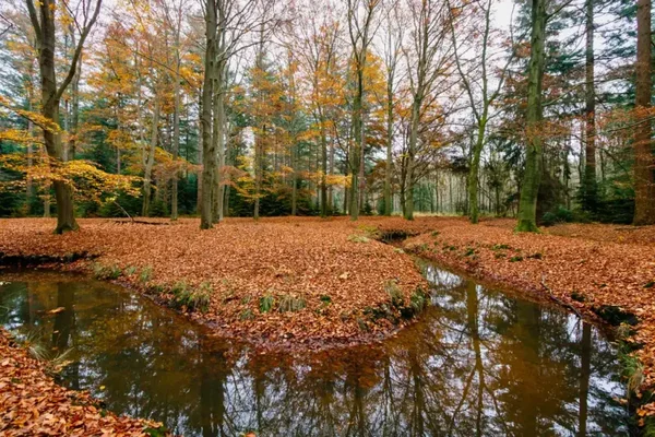 Zaterdag 14 november 2026. Landschotse Heide – mooi uitzicht met bankjes rondtocht vanuit Middelbeers. Gratis deelname