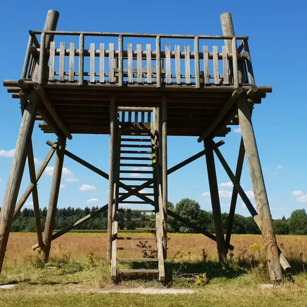 Woensdag 11 november 2026. etappe  7: Soerendonk - Venbergse Molen. Brabants Vennenpad. Gratis deelname