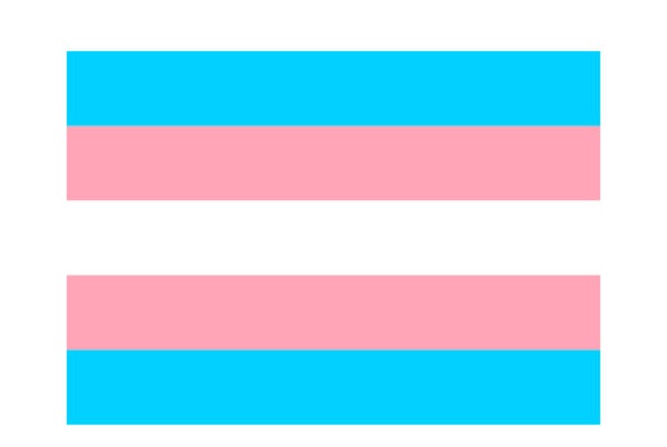 Needlepoint chart for Transgender Flag