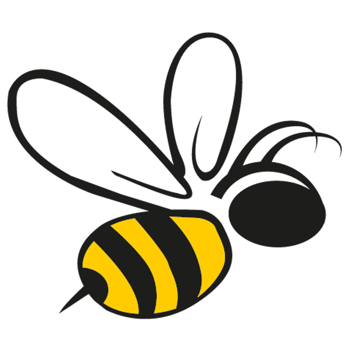 Mostviertler Honigfarm Honigbiene Arbeiterbiene