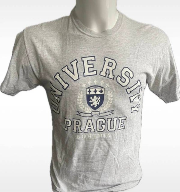 T-Shirt van Fruit of the Loom - Maat : M