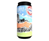 Camba Collab Cool Mountain Dose 0,44l - Colab Bierhaus Argentinien x Camba