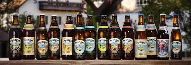 Ayinger 12er Mischpaket untergärige Biere