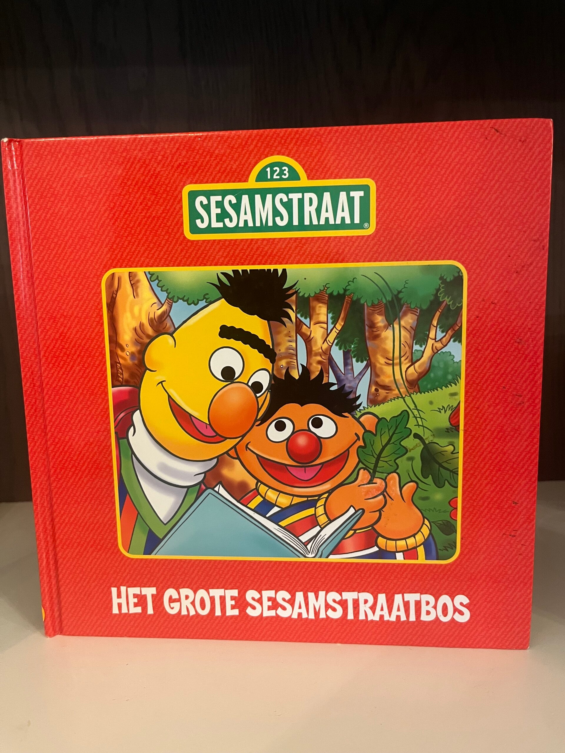 Sesamstraat boek