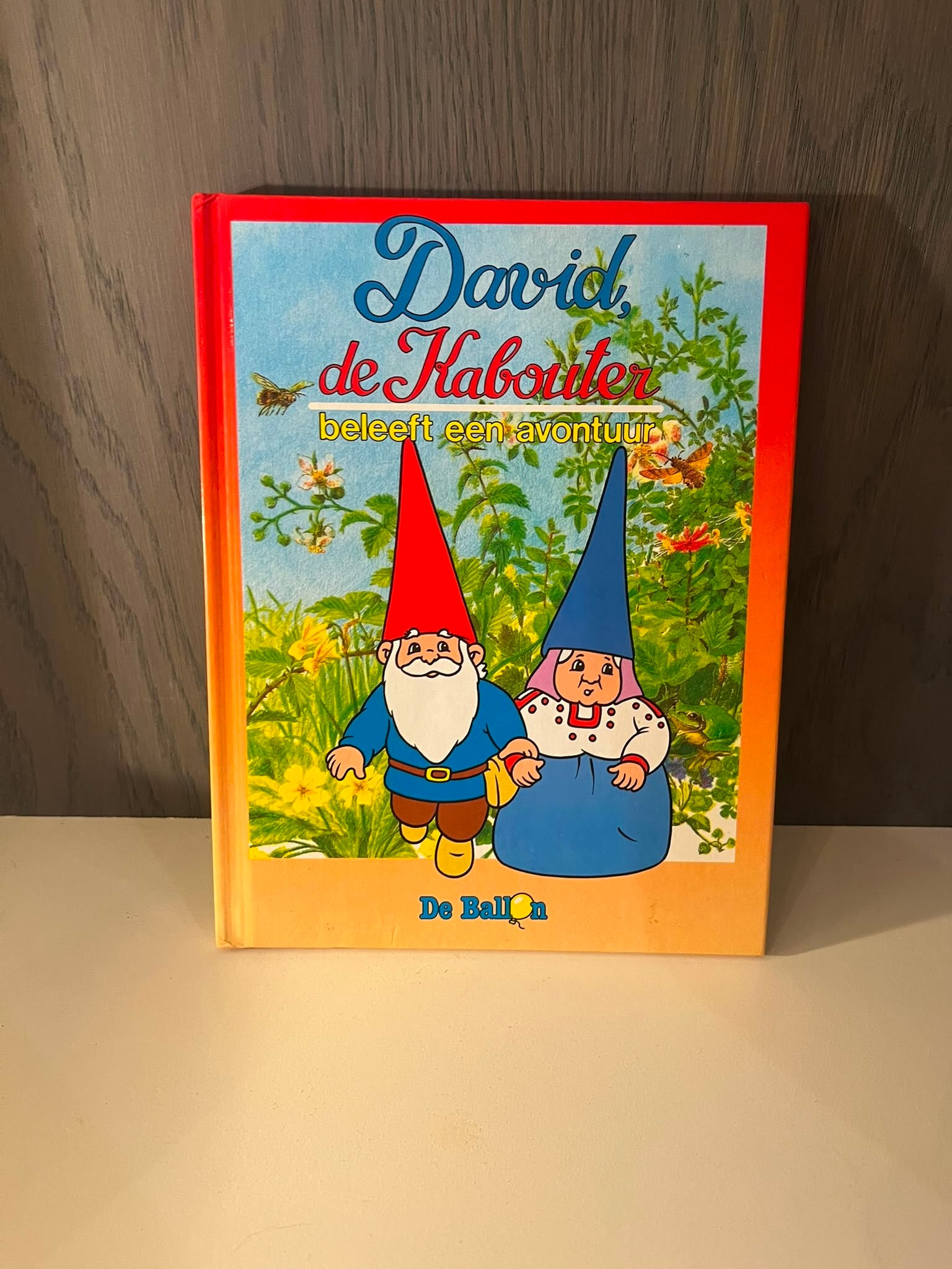 David de kabouter boek