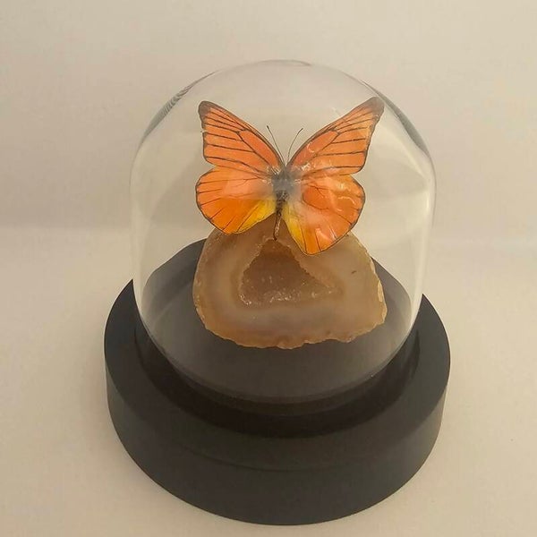 Appias Nero op Agate Geode