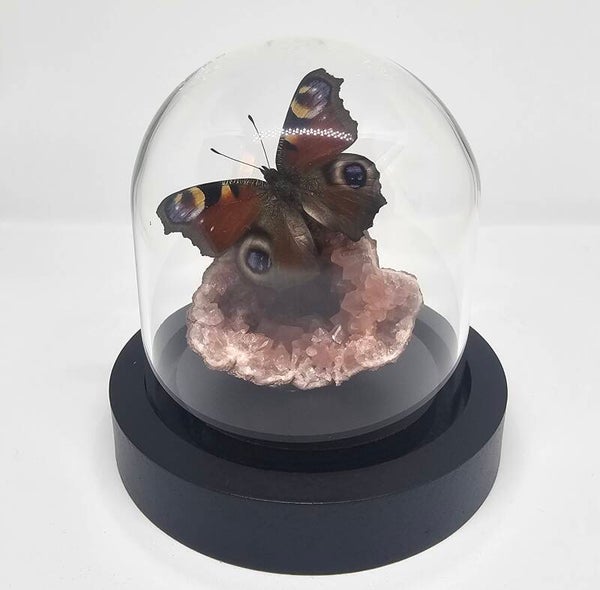 Aglais io (Dagpauwoog) op Roze Amethist Geode