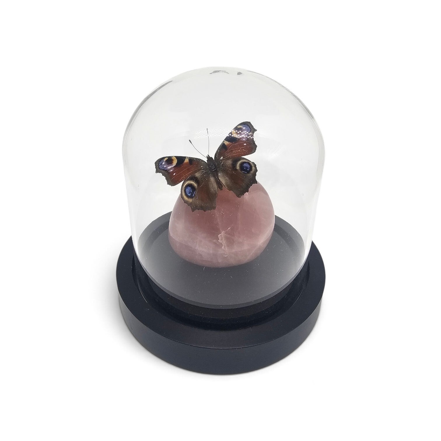 Aglais io (Dagpauwoog) op Rozenkwarts