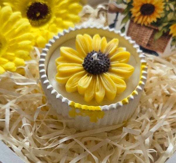 Gänseblümchen
