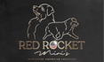 The Red Rocket Mini's