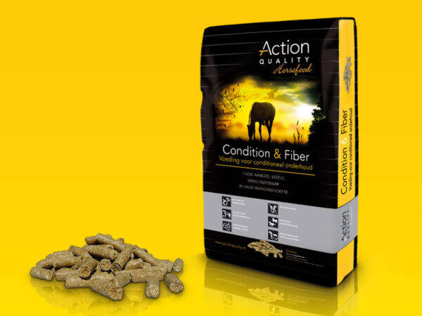 Condition & Fiber