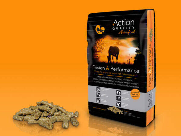 Frisian & Performance