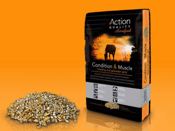 Condition & Muscle