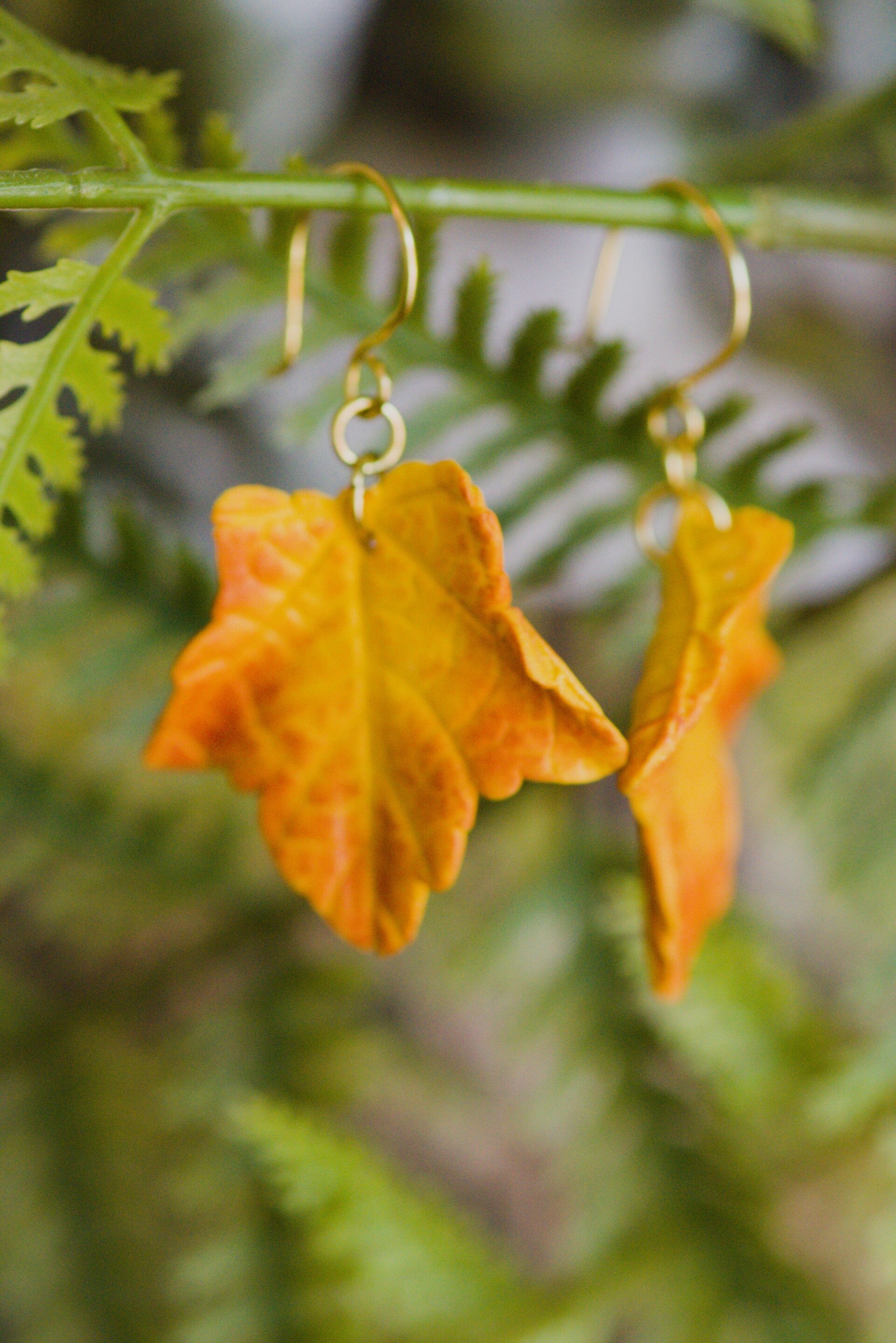 Maple-leaf earrings