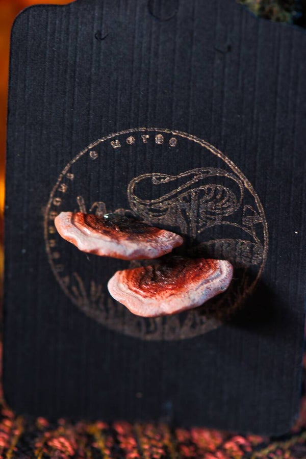 Turkey tail stud earrings