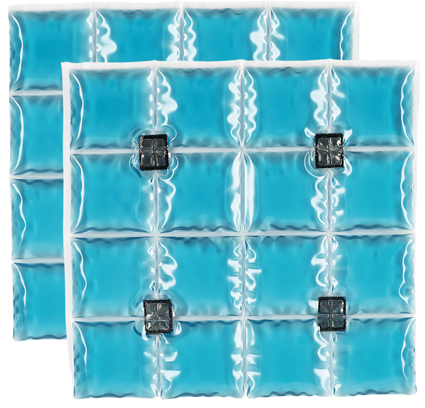 Pacs 16 cells (2 stuks)