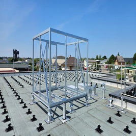 20250519_142019-standard-bv0ehg.jpg