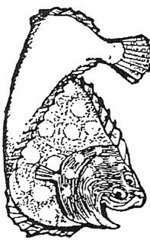 EI D1670/37 Flat Freddie