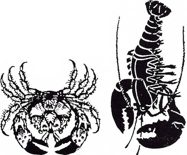 EI R1686/32 Abra da crabra + Fit to be boiled