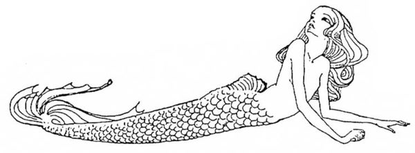 EI J1695/34 Kelsey kissameeagain