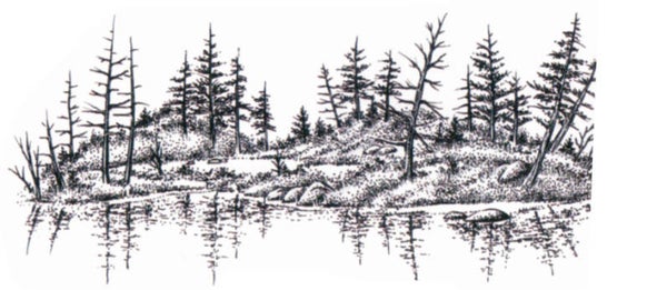 280F Lake island
