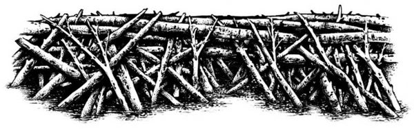 314G Beaver dam