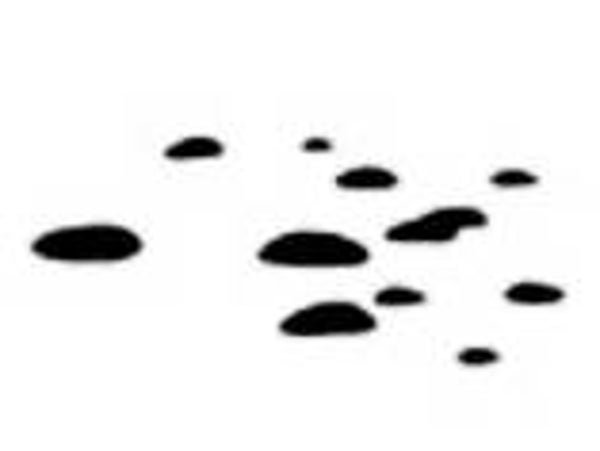 329A Tiny rocks sm