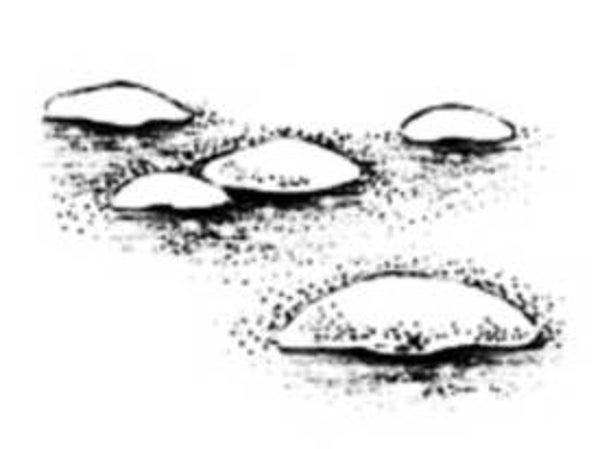 364B Snowy rocks med