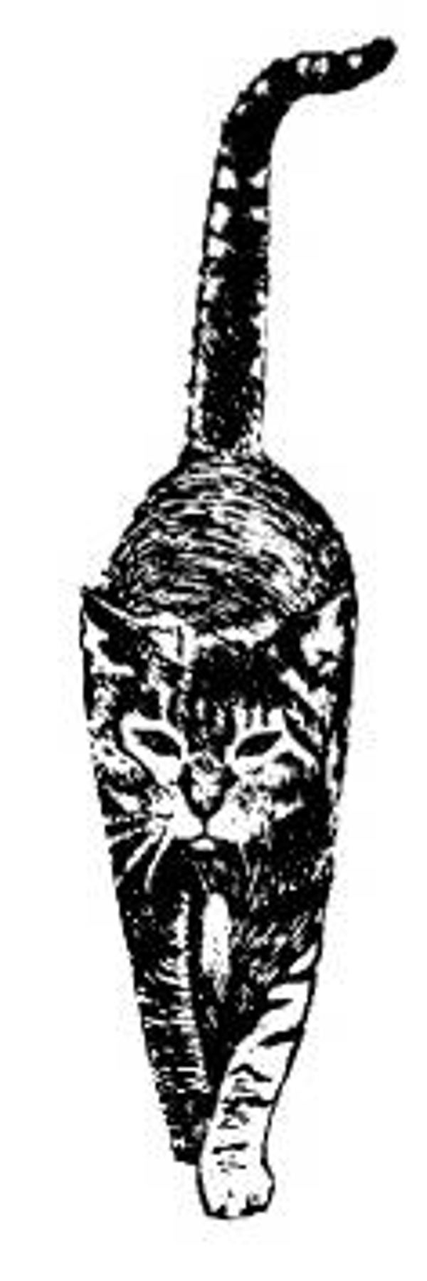 NS B9315 Wandelnde Tabby