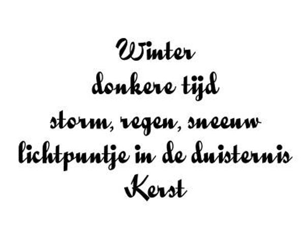 SW E10046/107 Winter