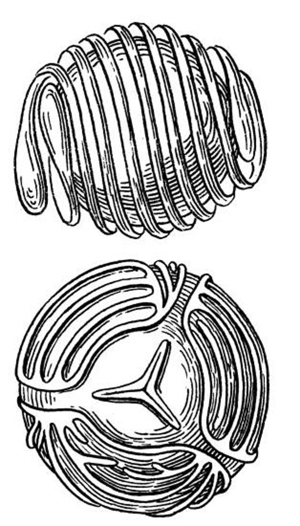SW J09049/89 Farnteile (2 Stempel)