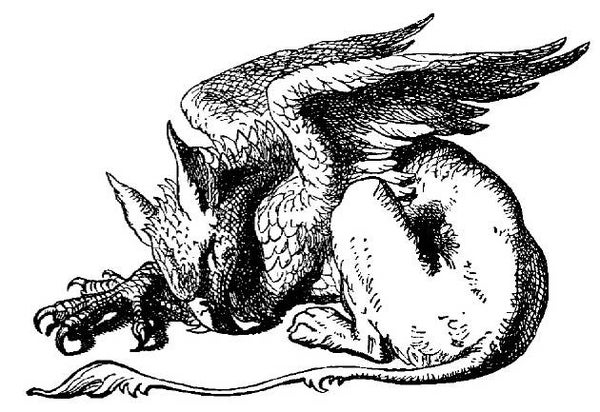 NS N6107 Griffin gr.