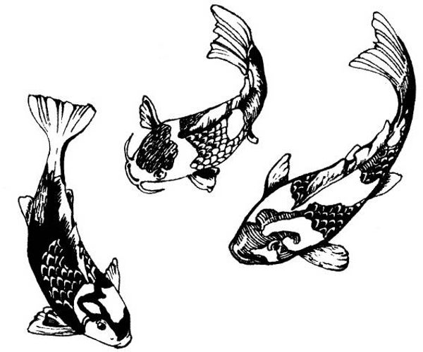 NS N8907 Koi
