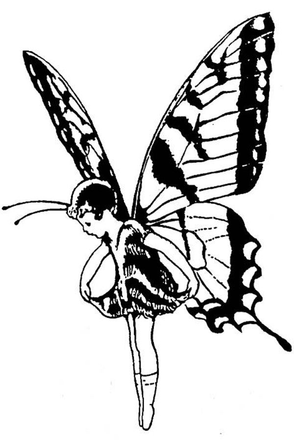 SW P05094/SWCP02 Elf mit Schmetterlingflügel