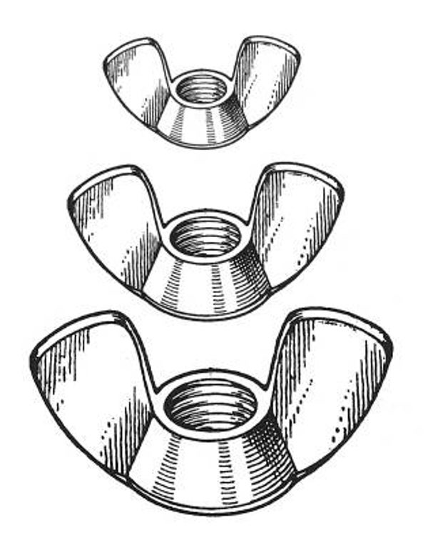 SW P15061/186 Flügelmuttern