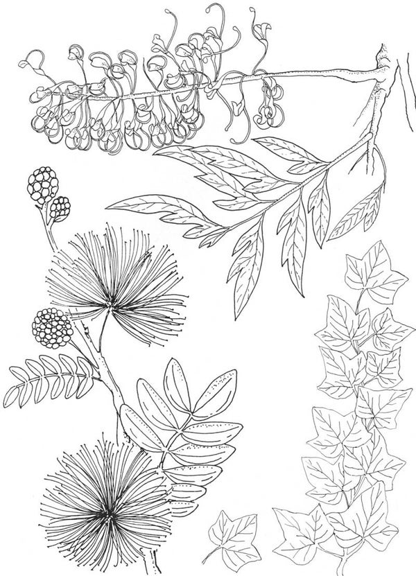 PLATESW103  Plate 103 Exotische Blume 2