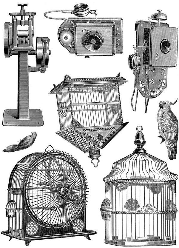 PLATESW142 Plate 142 Steampunk 15 Vogelkäfige und Telefone