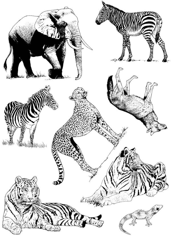 PLATESW031 Plate 031 Wildtiere 1