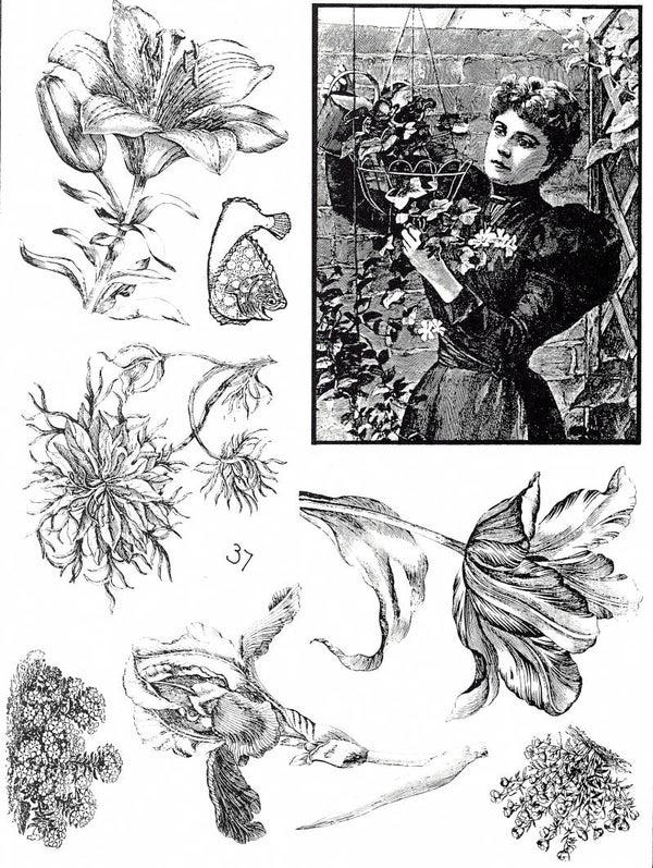 EIFS37 Plate 37 Antike Blumen 3