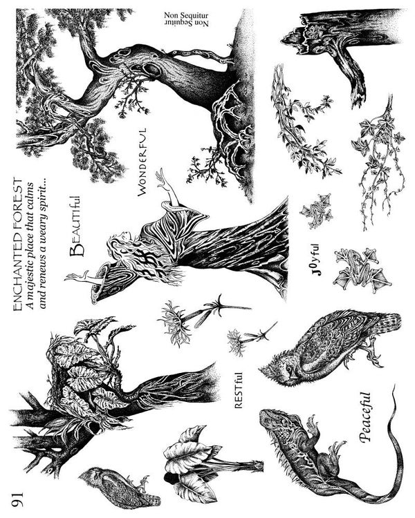 NSPL091 Plate 091 Zauberwald
