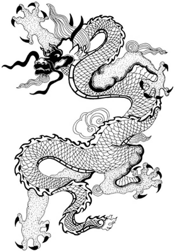 SW Q05187/16 Drache gross