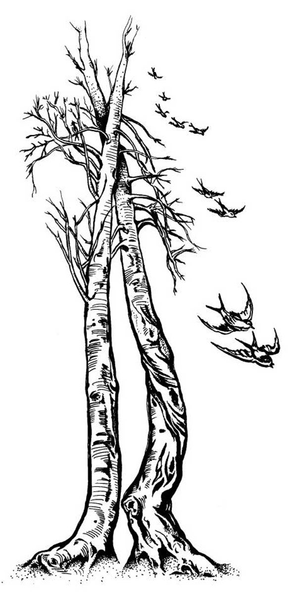 NS Q9408 Birke mit Schwalben